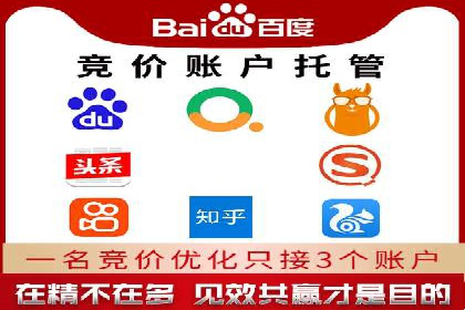 SEM代运营成功案例：打造行业领先品牌
